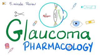 Glaucoma Pharmacology  5Minute Review [upl. by Mellen493]