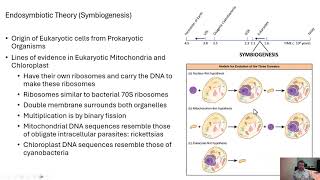 Microbiology Endosymbiosis [upl. by Kevon]