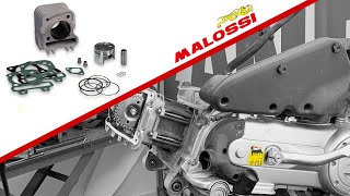 80cc Malossi cilinder monteren 3117771  Piaggio  Vespa 4t 2v [upl. by Ellerehc]