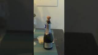 Cork popping in slow motion thanksgiving [upl. by Garnes]