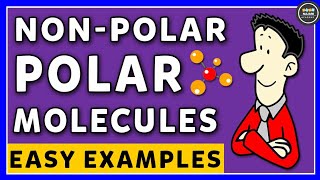 Polar And NonPolar Molecules  Chemistry [upl. by Irianat]