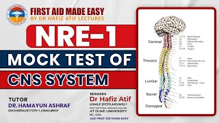 NRE  1 Mock Test Of CNS SYSTEM [upl. by Stelu]