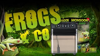 Exo Terra Frogs amp Co  Monsoons [upl. by Lauzon]