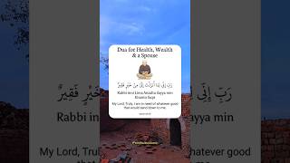 Dua for Health Wealth amp a Spouse [upl. by Nehttam]