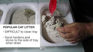 Compare the strength of clumping litter for cats  Canada Cat Litter [upl. by Tortosa]