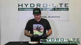 8 Placing your Seeds in Rapid Rooters  Hydrolite Hydroponics [upl. by Egwin]