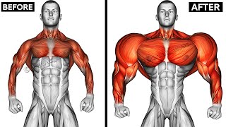 UPPER BODY WORKOUT WITH DUMBBELLS Shoulderforearmschesttricepsbackbiceps [upl. by Millur]