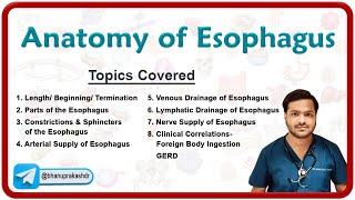 Anatomy of Esophagus Parts Constrictions Neurovascular supply Venous amp lymphatic drainage [upl. by Erait]