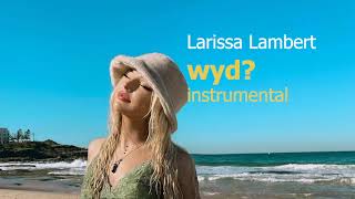 Larissa Lambert  wyd Instrumental by ronniekayy [upl. by Nyad177]