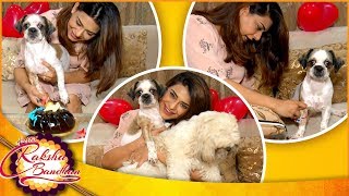 Poonam Preet Celebrates Rakshabandhan With Her Cute Pets  Naamkarann  TellyMasala [upl. by Guria]