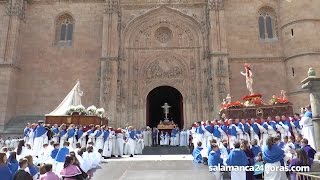 Semana Santa Salamanca 2017  Procesión del Encuentro [upl. by Justina663]