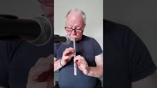 Spancil Hill tin whistle in D fingering tutorial for my pupils [upl. by Burnie685]