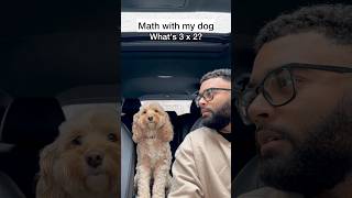 My Dog Does Multiplication and Division 😳 [upl. by Uri]