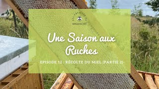 Une Saison Aux Ruches Episode 12 🐝 [upl. by Leinoto]