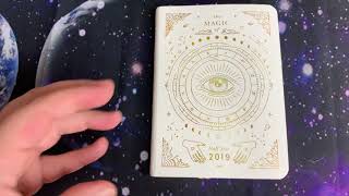 Magic of I Half Year Planner Flip 🖤 [upl. by Arannahs93]