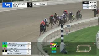 Gulfstream Park October 18 2024 Race 5 [upl. by Eiramik]