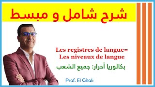 les registres de langues les niveaux de langue chapitre 10 il était ine fois [upl. by Niple617]