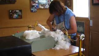 Angora Rabbit Shearing in New Zealand [upl. by Attenor]