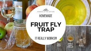 EASY HOMEMADE FRUIT FLY TRAP [upl. by Nnanerak542]