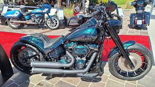 Most beautiful Harley at the european bike week 2024 in Austria [upl. by Morley]