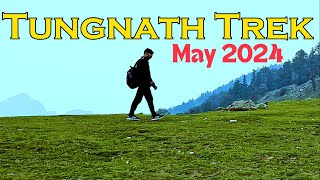 Tungnth Trek in May  Tungnath and Chandrashila trek 2024  tungnath current weather [upl. by Portugal]