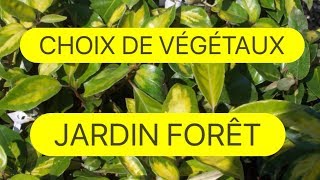 CHOIX DE VEGETAUX POUR JARDIN FORET COMESTIBLE ET MEDICINAL [upl. by Nedyah]