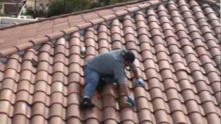 Bird Control in Oceanside Ca  Pro Pacific Pest Control  1800PESTCONTROL [upl. by Umont]