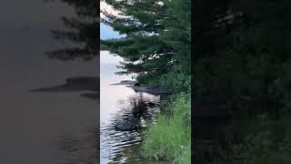 Video of Voyageurs National Park Campsites MN from aaron S [upl. by Ettenawtna87]