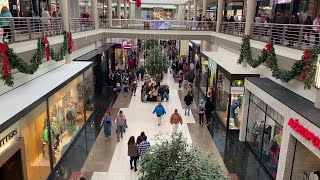 Walden Galleria teems with shoppers on Black Friday [upl. by Paddie]