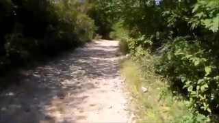 Hiking The FreetownFall River State Forest Part 1 Assonet Ledge [upl. by Nylyahs669]