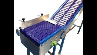 Incline Transfer Conveyor Modular Belt [upl. by Bigod]