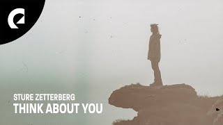 Sture Zetterberg  Think About You [upl. by Christianity237]