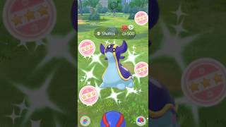 When I Got Rarest✨Shundo Almost in pokemongo [upl. by Artamas]