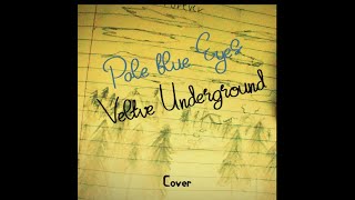 Pale Blue Eyes  Velvet Underground Cover [upl. by Eahsal]