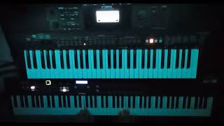 Rammstein  Spiel Mit Mir Keyboard Cover [upl. by Hsakaa]