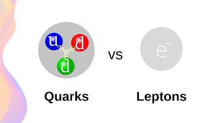 Standard Model of Matter Fermions Quarks and Leptons  HSC Physics [upl. by Ahsilaf784]