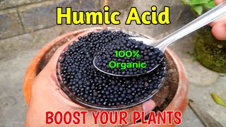 What Is Humic Acid And How To Use It In Gardening IN HINDI Benifits Of Humic Acid [upl. by Fein694]