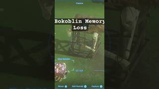 Bokoblin with Alzheimer’s be like [upl. by Essy624]