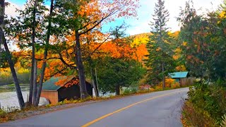 Gatineau Park in Fall canada quebec [upl. by Hamas]