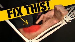 How to Fix Forearm Pain and Tightness QUICK STRETCH [upl. by Adolpho373]