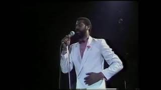 Teddy Pendergrass  lady  live [upl. by Lipcombe377]