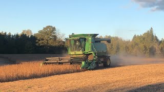 John Deere 9500 Combining Beans 2024 pt 2 [upl. by Danialah6]