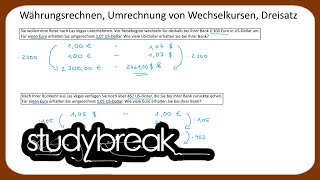 Währungsrechnen Umrechnung von Wechselkursen Dreisatz  Kaufmännisches Rechnen [upl. by Hoon]