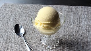 Frozen Vanilla Custard  French Vanilla Ice Cream Recipe  How to Make Custard Style Ice Cream [upl. by Nonahs364]