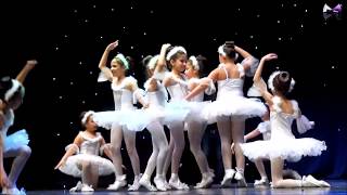 Swan Lake remix classical balletMotion Studio Recital 2018 حفل ستوديو موشن بدار الأوبرا المصريه [upl. by Kimberli]