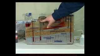 EnVision Groundwater Simulator Training  Basic Flow [upl. by Crosby]