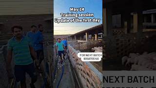 1st May 2024 Pig Training Day 1 for Next Batch 9058705146 Vikas Livestock Pig Farm amp Training Center [upl. by Ydne]