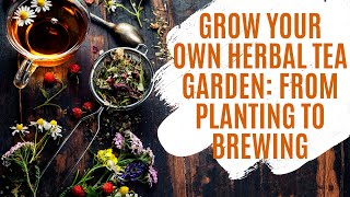 Grow Your Own Herbal Tea Garden From Planting to Brewing  Urban Garden Republic [upl. by Rebme404]