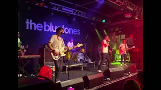 The bluetones slight return [upl. by Tiena]