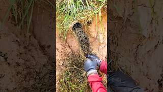 How to Clear Blocked Drains cloggeddrain shorts shortvideo video satisfying [upl. by Brink]